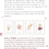 Uranaï - Oracle divinatoire japonais - Pierres de Lumière