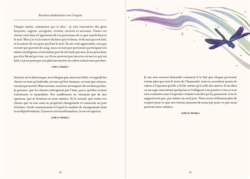 Les pensées illustrées de Marc Aurèle - Pierres de Lumière