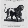 Le Tarot occulte - Pierres de Lumière