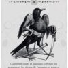Le Tarot occulte - Pierres de Lumière