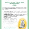 120 fiches de soins énergétiques pour les animaux - Pierresde Lumière