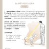 120 fiches de soins énergétiques pour les animaux - Pierresde Lumière