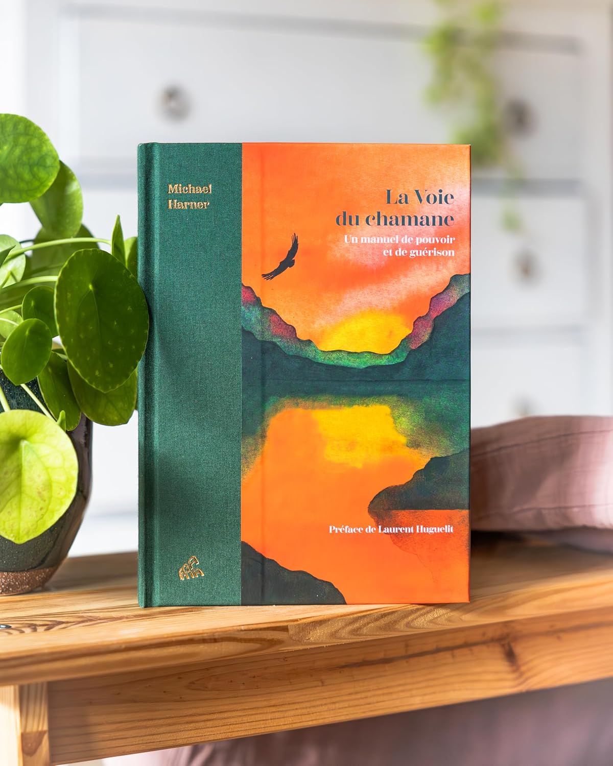 La voie du chamane collector: Un manuel de pouvoir et de guérison 2 La voie du chamane collector - Pierres de Lumière