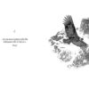 42 Oracles chamaniques - Pierres de Lumière