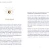 Développez vos facultés extrasensorielles (Poche) - Pierres de Lumière