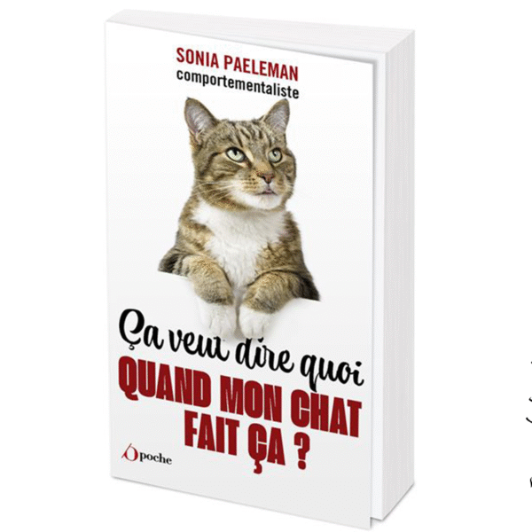 Ça veut dire quoi quand mon chat fait ça ? - Pierres de Lumière