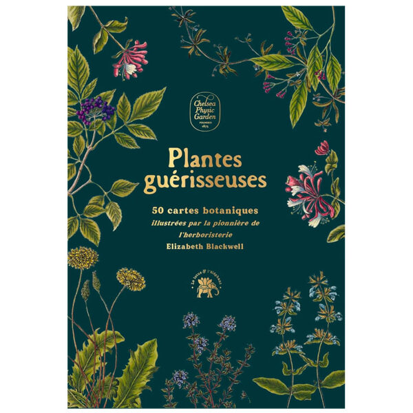 Plantes guérisseuses : 50 cartes botaniques illustrées par la pionnière de l'herboristerie Elizabeth Blackwell - Pierres de Lumière