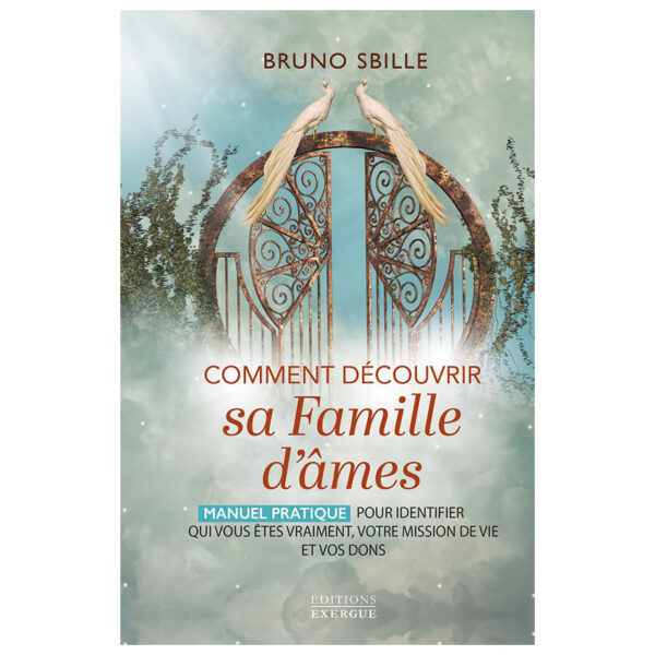 Comment découvrir sa famille d'âmes - Manuel pratique pour identifier qui vous êtes vraiment, votre mission de vie et vos dons - pierres de Lumière
