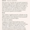Plantes guérisseuses : 50 cartes botaniques illustrées par la pionnière de l'herboristerie Elizabeth Blackwell - Pierres de Lumière
