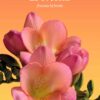 Oracle des Fleurs : 36 cartes pour créer chaque jour son bouquet d'intentions - Pierres de Lumière