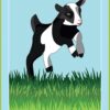 Mon Oracle poche du bien-être animal - Pierres de Lumière