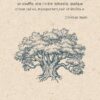 La révélation de l'arbre - Pierres de Lumière
