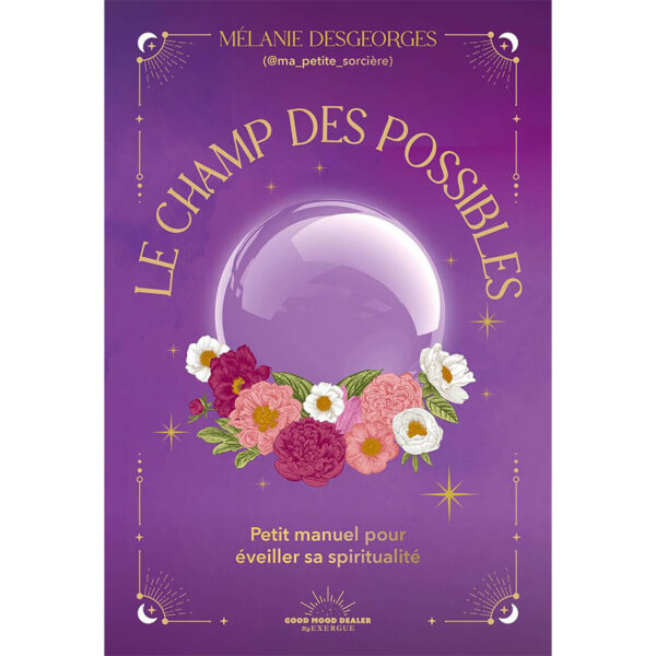 Le Champ des possibles - Petit manuel pour รฉveiller sa spiritualitรฉ - pierres de Lumiรจre