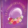 Le Champ des possibles - Petit manuel pour éveiller sa spiritualité - pierres de Lumière